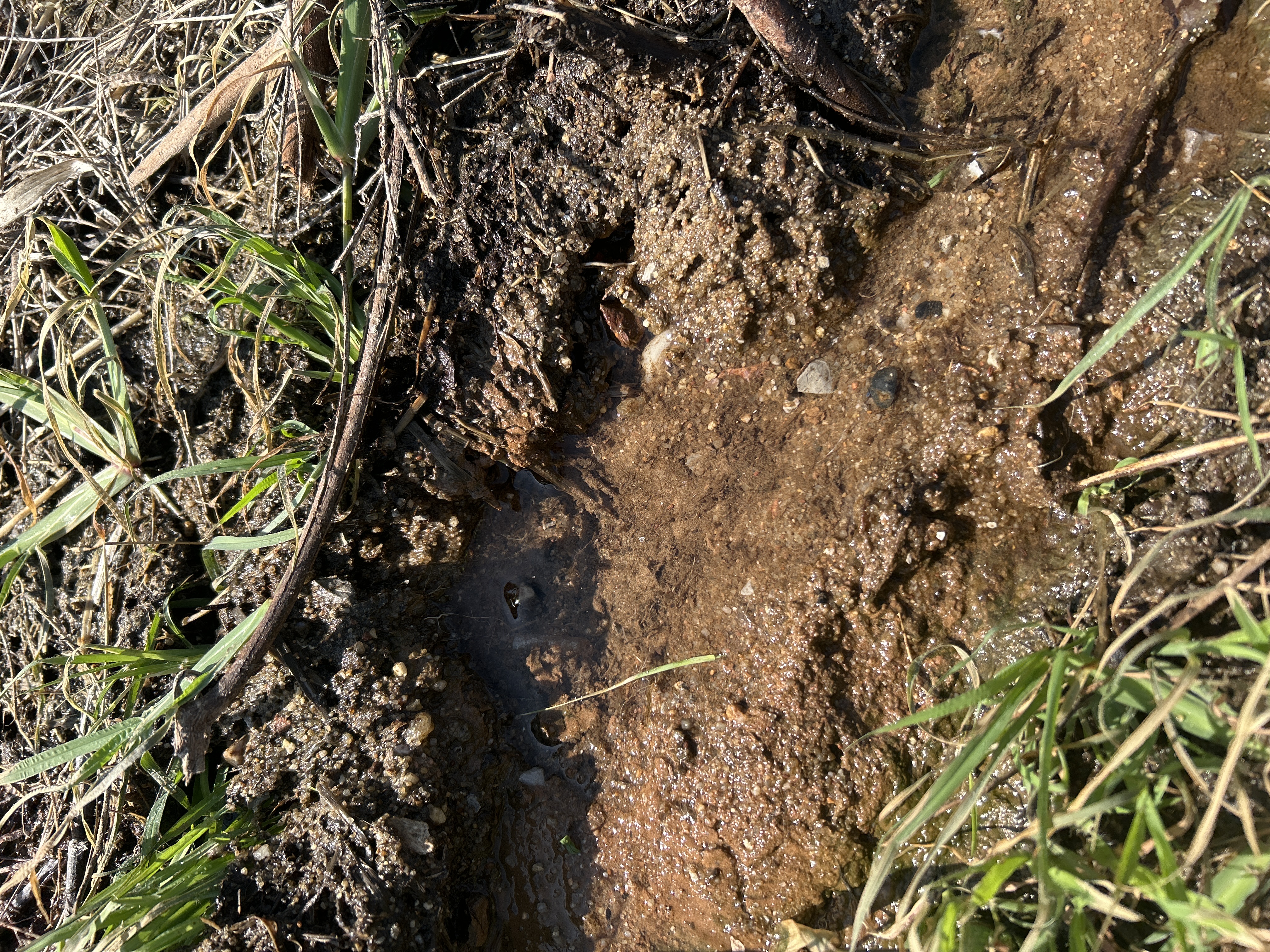 รูปจุดรั่ว 1