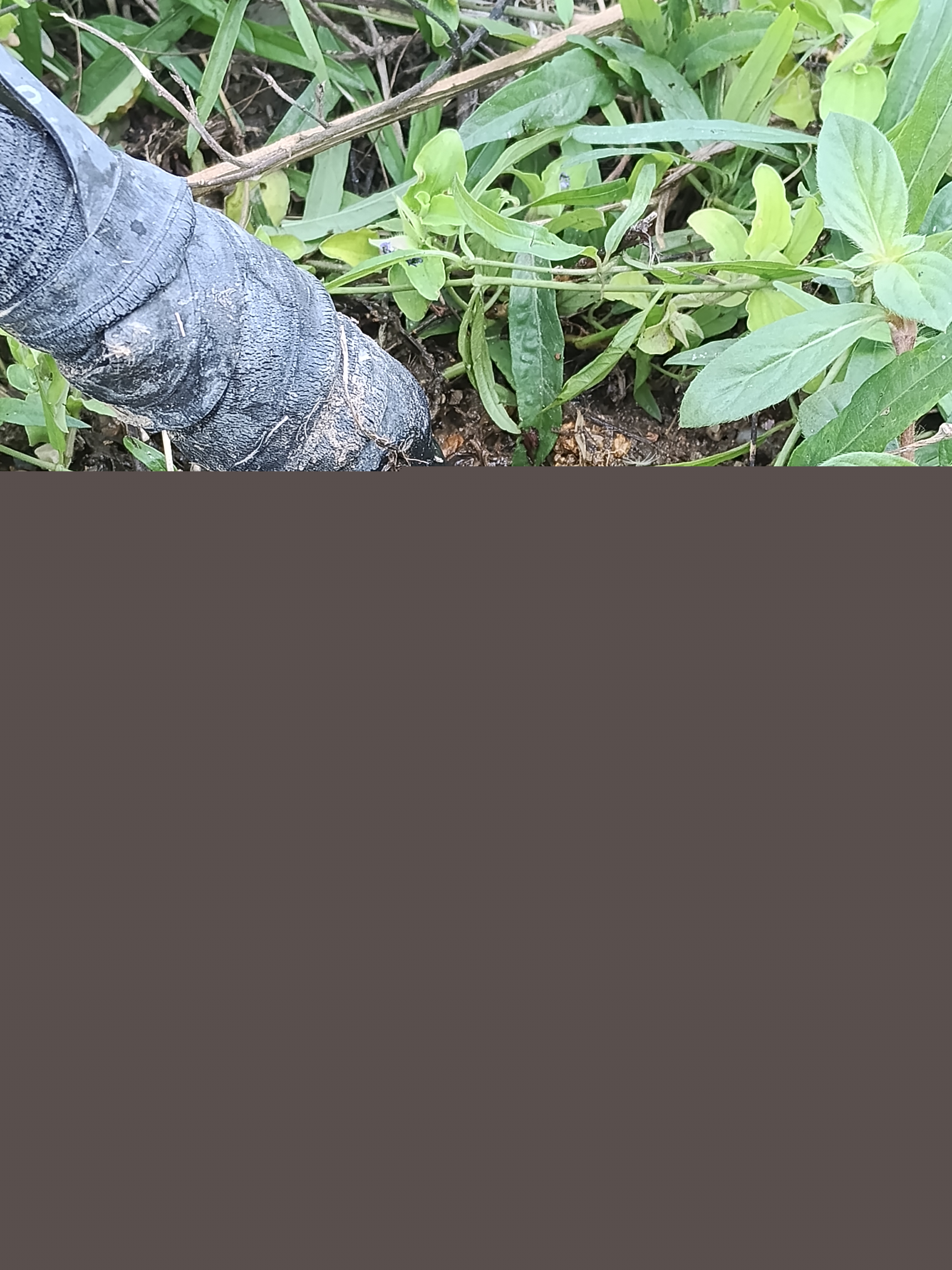 รูปจุดรั่ว 1