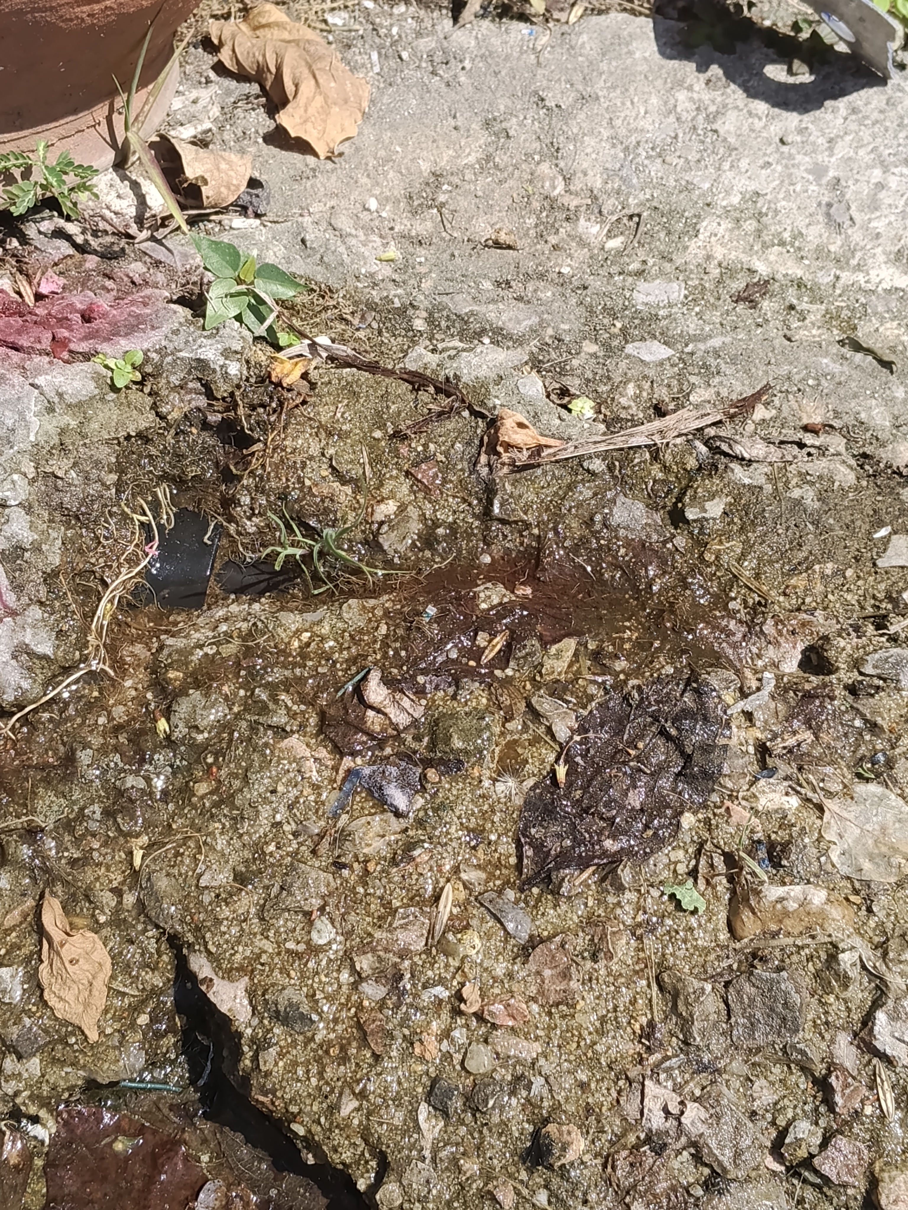 รูปจุดรั่ว 1